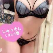 ヒメ日記 2025/07/02 10:41 投稿 桃月あかり クラブダンディー