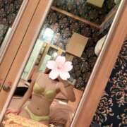 桃月あかり 夜寝より昼寝 クラブダンディー