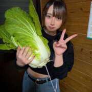 ヒメ日記 2026/01/16 00:30 投稿 らんま とある風俗店♡やりすぎさーくる新宿大久保店♡で色んな無料オプションしてみました