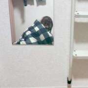 らんま 👑3月後半本指名ランキング10位👑 とある風俗店♡やりすぎさーくる新宿大久保店♡で色んな無料オプションしてみました