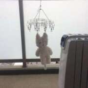 ヒメ日記 2025/12/11 14:10 投稿 あやね 錦糸町ぽちゃカワ女子専門店！我慢できないの！