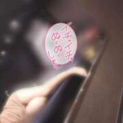 ヒメ日記 2025/06/25 12:30 投稿 らら アラカルト