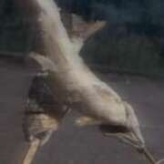 ヒメ日記 2025/08/09 18:00 投稿 らら アラカルト