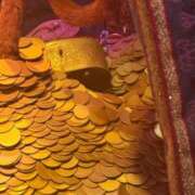 ヒメ日記 2025/09/06 19:30 投稿 らら アラカルト