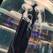 ヒメ日記 2025/09/19 17:29 投稿 らら アラカルト