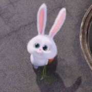 ヒメ日記 2026/02/22 18:02 投稿 らら アラカルト