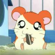 ヒメ日記 2026/03/18 14:30 投稿 らら アラカルト