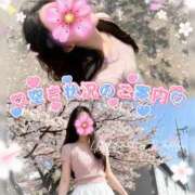 ヒメ日記 2026/04/03 10:43 投稿 里穂【リホ】 LOVEキタ兎我野店