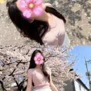 ヒメ日記 2026/04/09 10:23 投稿 里穂【リホ】 LOVEキタ兎我野店