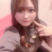 ヒメ日記 2025/12/12 10:23 投稿 みらい if(イフ) 中村店