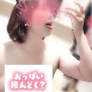 ヒメ日記 2025/06/27 19:33 投稿 せり 折り紙 ORIGAMI