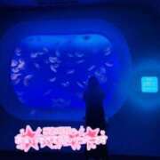 ヒメ日記 2025/11/05 12:03 投稿 すず 池袋人妻城