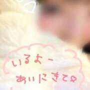 いちご 🍓 札幌しこたまクリニック