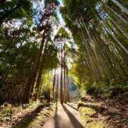 ヒメ日記 2026/03/08 01:16 投稿 みゆ 吉野ケ里人妻デリヘル 「デリ夫人」