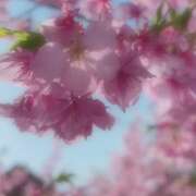 ヒメ日記 2026/03/10 12:13 投稿 みゆ 吉野ケ里人妻デリヘル 「デリ夫人」