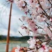 ヒメ日記 2026/03/22 19:03 投稿 みゆ 吉野ケ里人妻デリヘル 「デリ夫人」