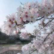 ヒメ日記 2026/04/01 14:35 投稿 みゆ 吉野ケ里人妻デリヘル 「デリ夫人」