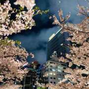 ヒメ日記 2026/04/04 23:26 投稿 みゆ 吉野ケ里人妻デリヘル 「デリ夫人」