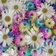 ヒメ日記 2026/04/10 22:24 投稿 みゆ 吉野ケ里人妻デリヘル 「デリ夫人」