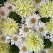 ヒメ日記 2026/04/15 23:35 投稿 みゆ 吉野ケ里人妻デリヘル 「デリ夫人」