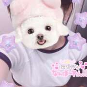 ヒメ日記 2025/12/11 06:00 投稿 おと ビデオdeはんど 町田校