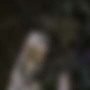 ヒメ日記 2025/12/21 12:19 投稿 おと ビデオdeはんど 町田校