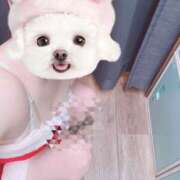 ヒメ日記 2025/12/25 07:24 投稿 おと ビデオdeはんど 町田校