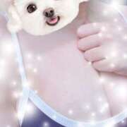 ヒメ日記 2025/12/31 08:33 投稿 おと ビデオdeはんど 町田校