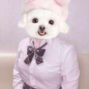 ヒメ日記 2026/01/10 02:09 投稿 おと ビデオdeはんど 町田校