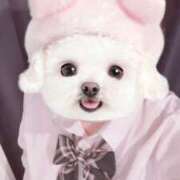 ヒメ日記 2026/01/25 07:05 投稿 おと ビデオdeはんど 町田校