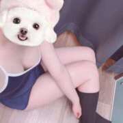 ヒメ日記 2026/02/27 07:13 投稿 おと ビデオdeはんど 町田校