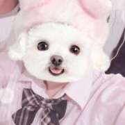 ヒメ日記 2026/03/01 07:09 投稿 おと ビデオdeはんど 町田校