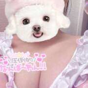 ヒメ日記 2026/03/15 08:40 投稿 おと ビデオdeはんど 町田校