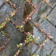 ヒメ日記 2025/07/14 21:45 投稿 なな 新宿泡洗体デラックスエステ