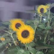 ヒメ日記 2025/07/23 22:03 投稿 なな 新宿泡洗体デラックスエステ