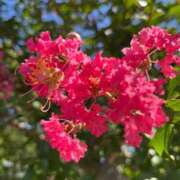 ヒメ日記 2025/08/13 23:45 投稿 なな 新宿泡洗体デラックスエステ