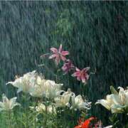 ヒメ日記 2025/09/11 15:47 投稿 なな 新宿泡洗体デラックスエステ