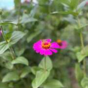 ヒメ日記 2025/09/14 18:30 投稿 なな 新宿泡洗体デラックスエステ