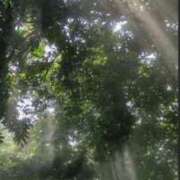 ヒメ日記 2025/09/15 16:47 投稿 なな 新宿泡洗体デラックスエステ