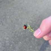 ヒメ日記 2025/09/24 14:06 投稿 なな 新宿泡洗体デラックスエステ