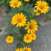 ヒメ日記 2025/09/25 15:15 投稿 なな 新宿泡洗体デラックスエステ