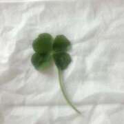 ヒメ日記 2025/09/27 19:23 投稿 なな 新宿泡洗体デラックスエステ