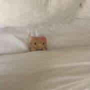 ヒメ日記 2025/09/30 23:01 投稿 なな 新宿泡洗体デラックスエステ