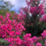 ヒメ日記 2025/10/11 14:41 投稿 なな 新宿泡洗体デラックスエステ