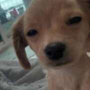 ヒメ日記 2025/10/26 12:43 投稿 なな 新宿泡洗体デラックスエステ