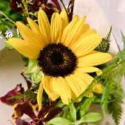 ヒメ日記 2025/07/31 20:45 投稿 はるか AFTER V（アフターファイブ）