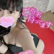 ヒメ日記 2025/09/02 09:29 投稿 ふうか チューリップ熊本店