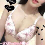 ヒメ日記 2025/10/17 08:20 投稿 ふうか チューリップ熊本店