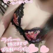 ヒメ日記 2025/10/19 06:01 投稿 ふうか チューリップ熊本店