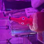 ヒメ日記 2025/09/28 00:54 投稿 れい みつばちマーヤZ